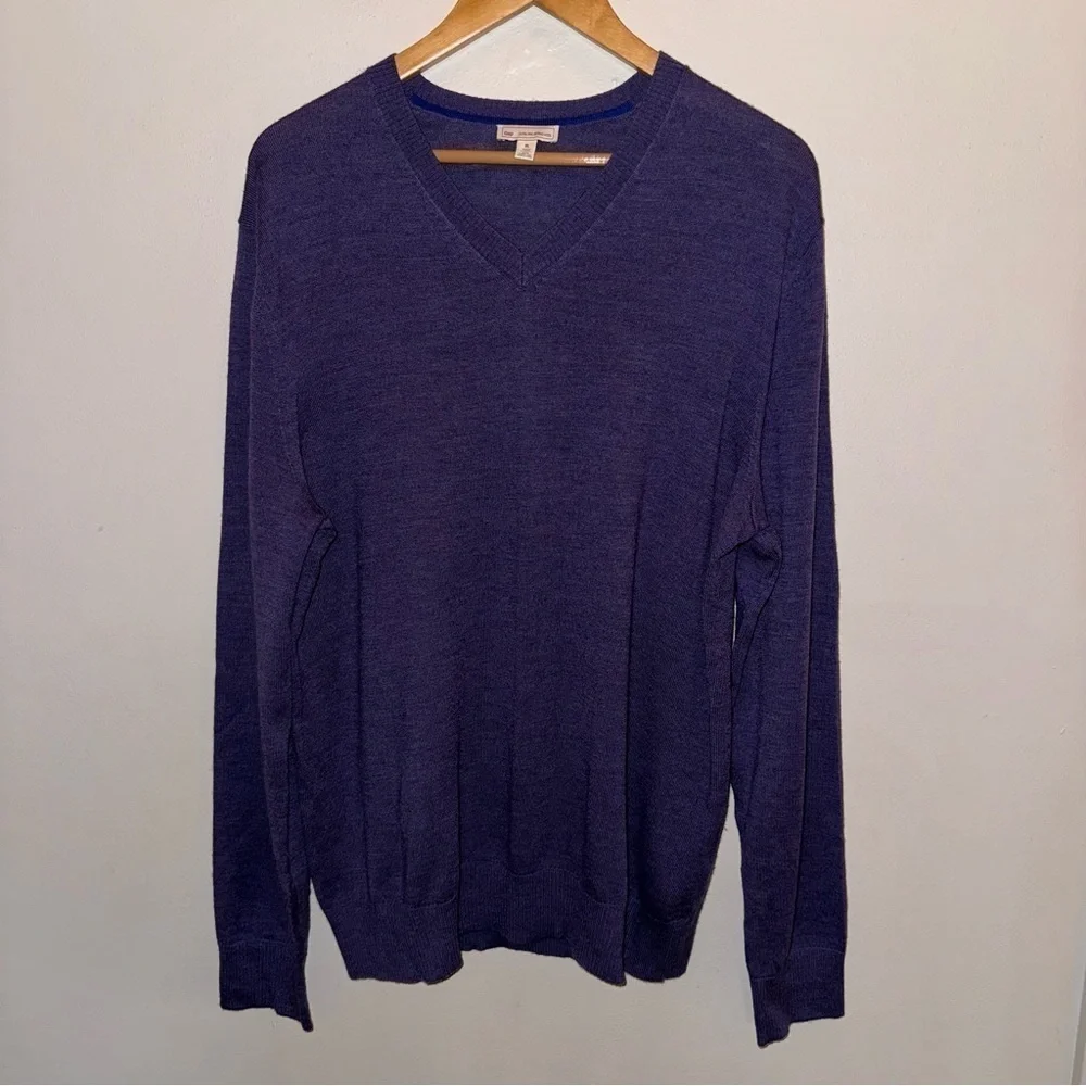Gap Extra Fine Merino Wool Men’s V-neck Purple Sweater Size Extra Large